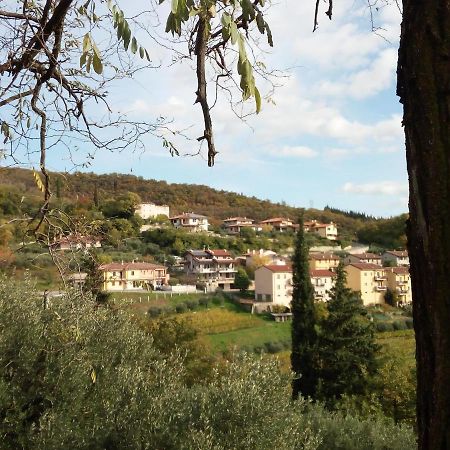 Panoramico10 Apartment With A View In Valpolicella SantʼAmbrogio di Valpolicella Zewnętrze zdjęcie