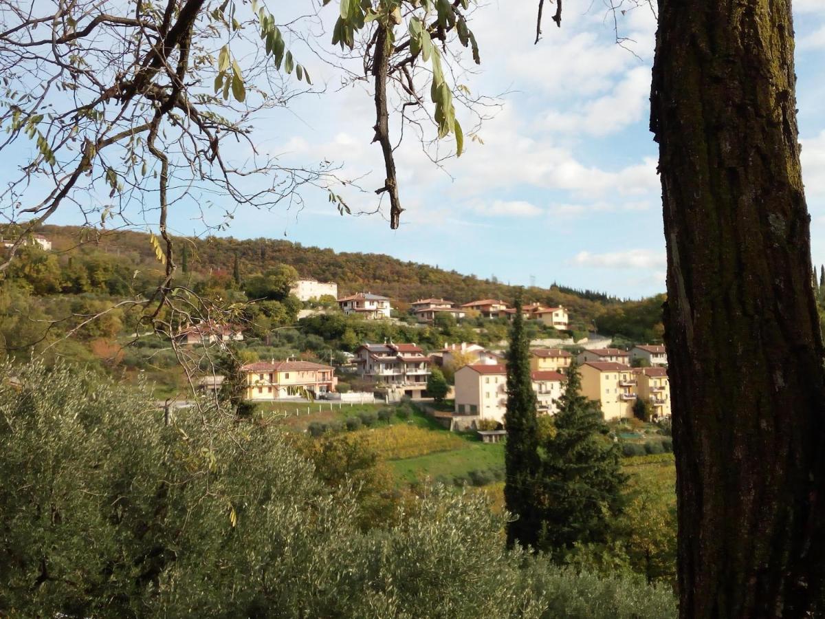 Panoramico10 Apartment With A View In Valpolicella SantʼAmbrogio di Valpolicella Zewnętrze zdjęcie